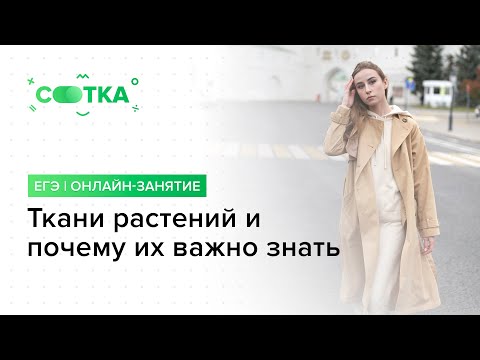«Ткани растений и почему их важно знать» | ЕГЭ БИОЛОГИЯ 2019 | Онлайн-школа СОТКА
