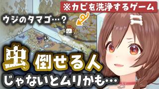 虫を倒せる人じゃないと一緒に住めないころさんｗ【戌神ころね/ホロライブ切り抜き/Moldwasher】