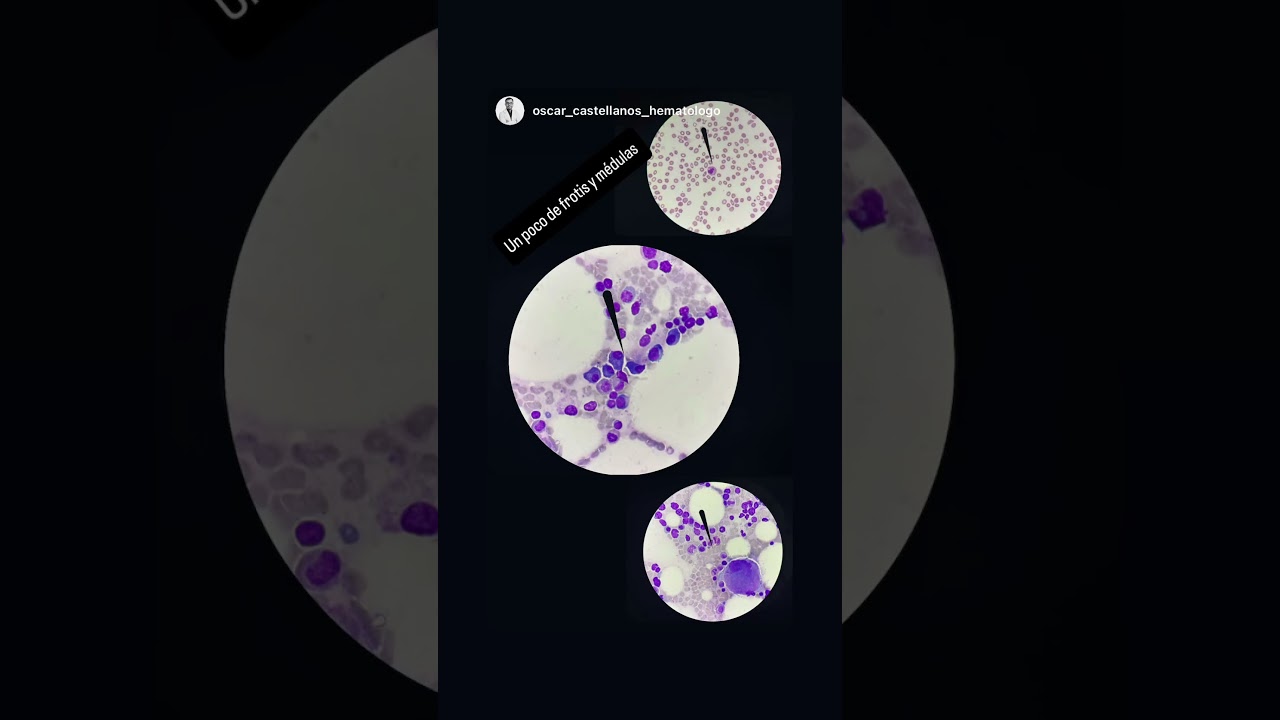 Oscar Eduardo Castellanos Velazco-11