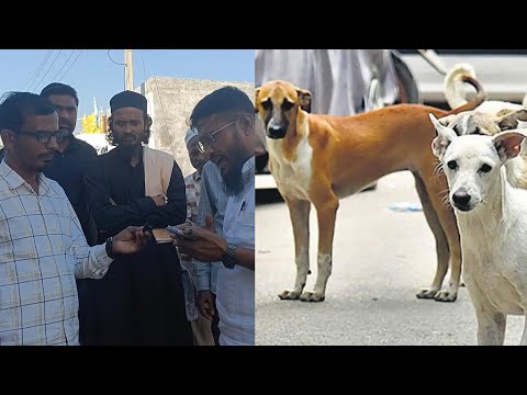 STREET DOGS ATTACK ON SALEEMA BEGAM A 50 YEAR OLD RESIDENT OF MILLAT NAGAR WARD NO 3