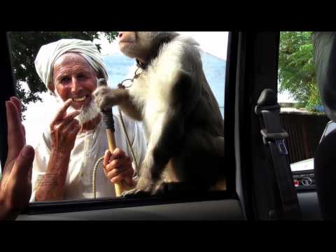 comment negocier les prix en thailande