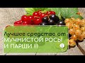 Фунгицид Парацельс
