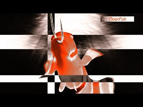 Video thumbnail for ClownFish