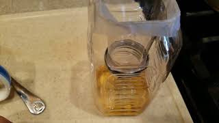 My fruit fly gnat trap