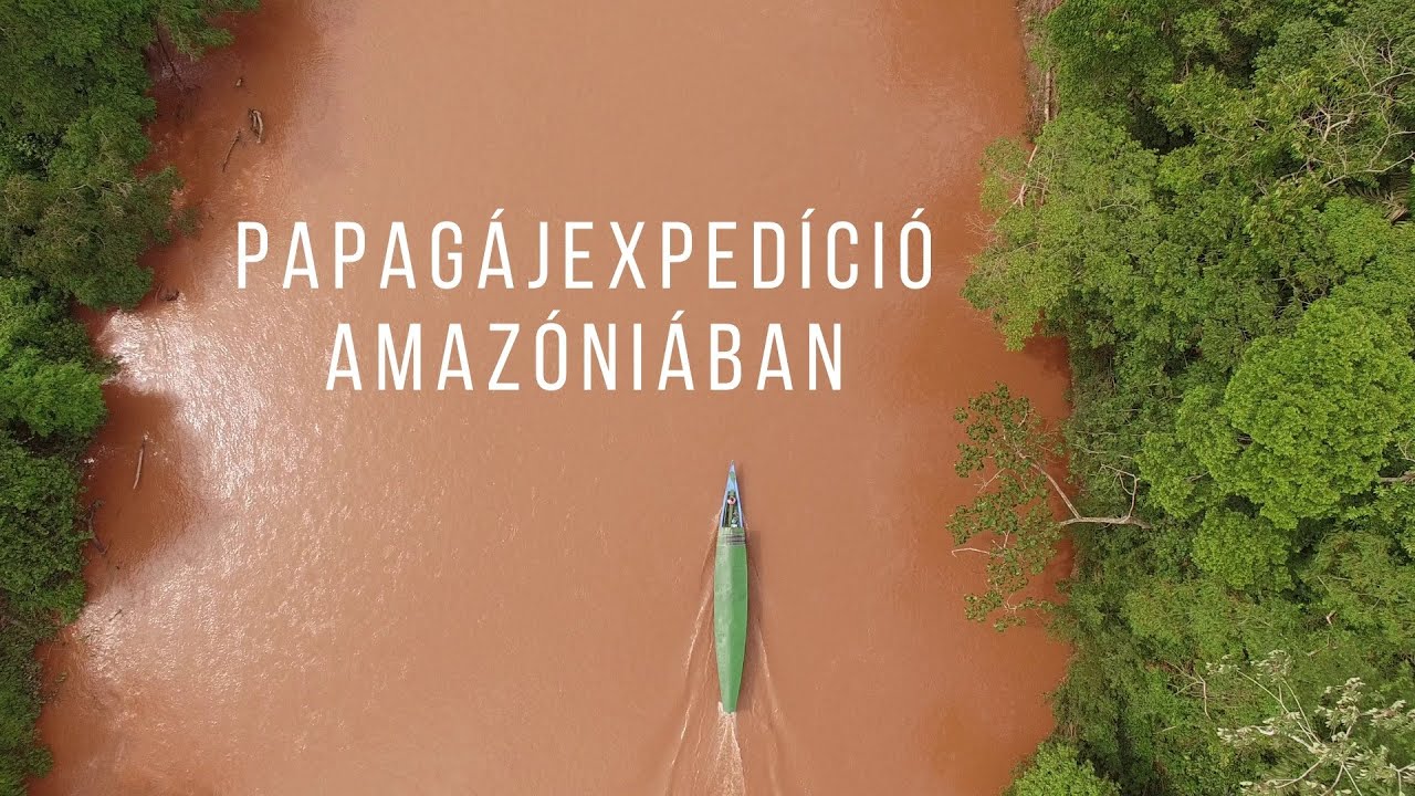 Papagájexpedíció Amazóniában | Dokumentumfilm