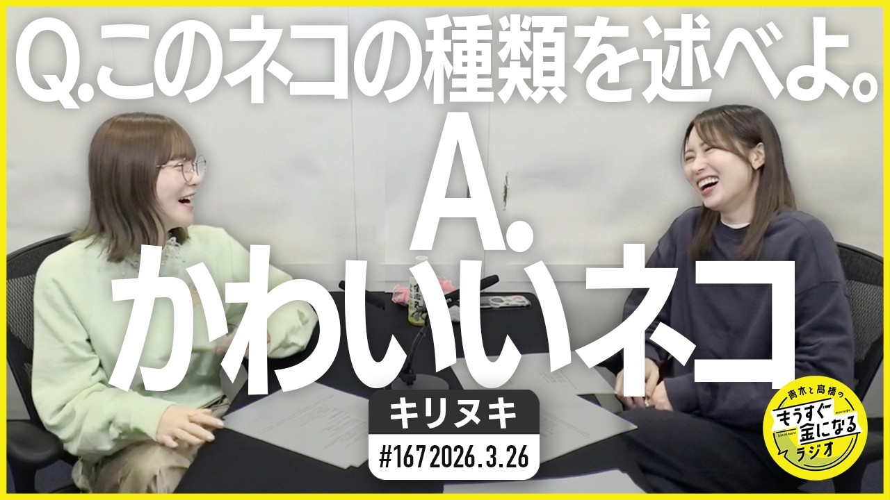 切り抜き公式 #167 Q.このネコの種類を述べよ。A.かわいいネコ  2026.3.26