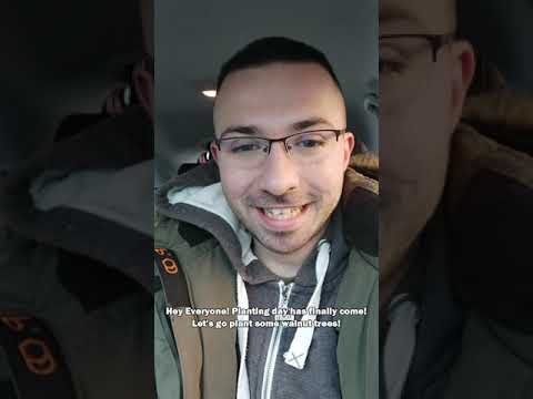 A New Walnut Plantation Has Been Established!