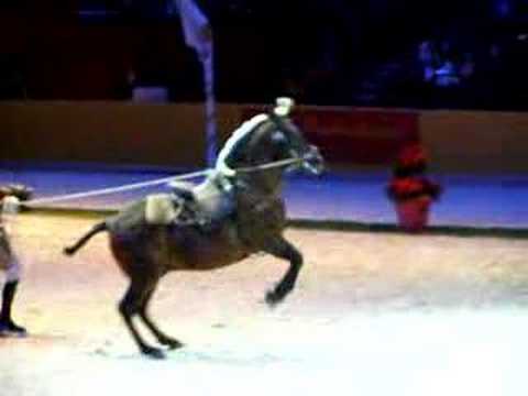 Capriole I - Portuguese School