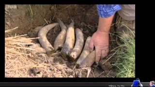 "Biodynamic" farming: Steiner nonsense from the BBC