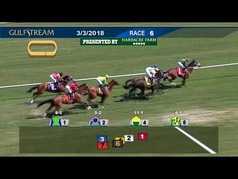 Gulfstream Park Replay Show | March 3, 2018