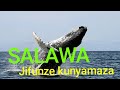 Salawa Nyangumi Jifunze Kunyamaza