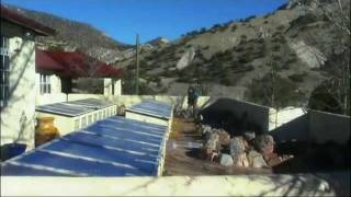 Ширли МакЛейн на шоу Опры Уинфри