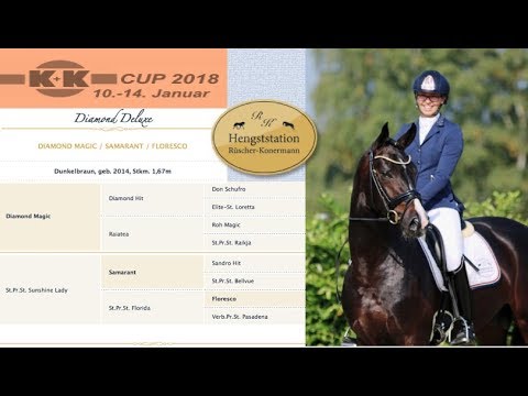 Diamond Deluxe K&K Cup 2018
