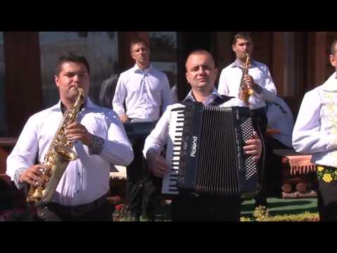 Dani Pomian - Bate doamne crâşmele