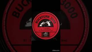 Buckfunk 3000 - Too Much Booty