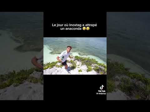 #inoxtag #manga #instinct2 #mangainstincttome2 #mangatome2 #mangainoxtag #motivation