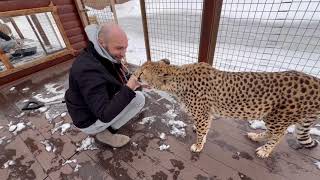 Новая лопата интереснее чем прогулка на улице! Герда снова удивила нас своей