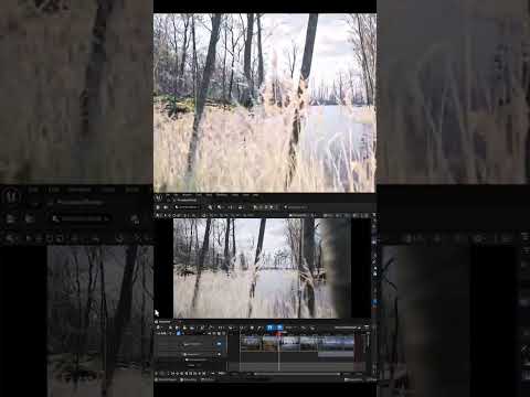 Rainforest Unreal Engine Scene