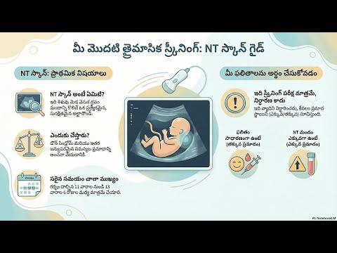 The NT Scan — video thumbnail