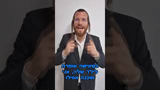 שרולי וינברגר - איך יכול להיות שדווקא לידה הדבר הגבוא ביותר מטמא ? "להרגיש את הפרשה"