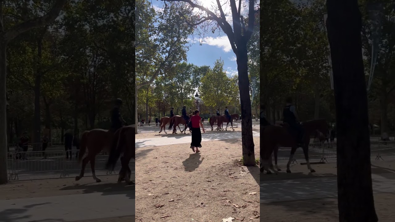 パリポリス、馬、　　 記録　　🇫🇷