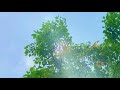 Study Music | 💮抖音💮| KTL A different language is a different vision of life.