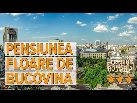 Pensiunea Floare de Bucovina hotel review | Hotels in Frasin | Romanian Hotels