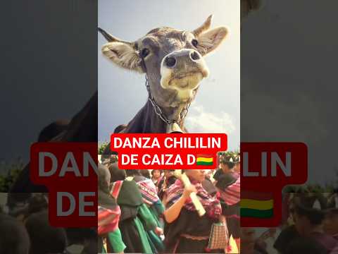 DANZA CHILILIN DE CAIZA D🇧🇴 #chililin #caizadpotosi #danza #potosi# cultura