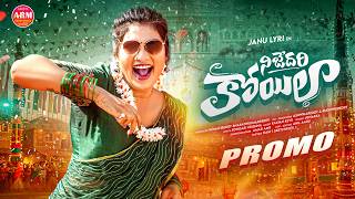 Download lagu NIJEDARI KOILAA PROMO || NEW FOLK SONG 2026 || JANU LYRI || AADHYA REDDY MUSIC mp3