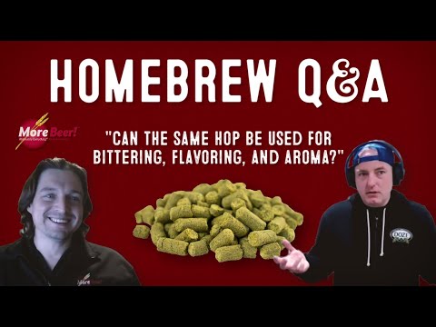 Bittering, Flavoring, and Aroma Hops | Homebrew Q&A with MoreBeer!
