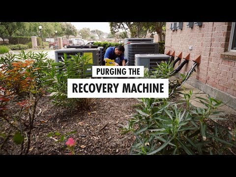 Purging the Recovery Machine