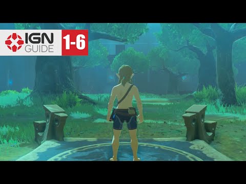Zelda: Breath of the Wild - Trial of the Sword DLC Guide (Level 1-6)