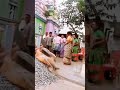 Aunty Got Chill Funny Shorts