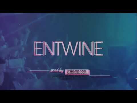 FESTIVAL HOUSE Instrumental - "ENTWINE" | Avicii x Martin Garrix x Chris Brown Type Beat 2018