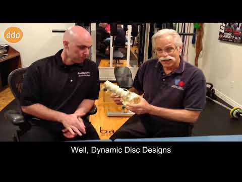 Gift of Injury Adaptation from Endplate Fracture - Dynamic Disc Designs Modeling