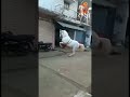 तेजा जी