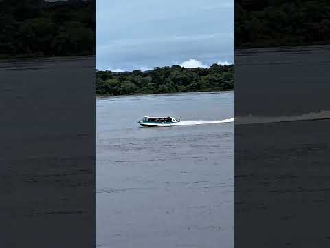 Así es navegar hasta Puerto Carreño por el río Orinoco 🚤🌊 #vichada #puertocarreño