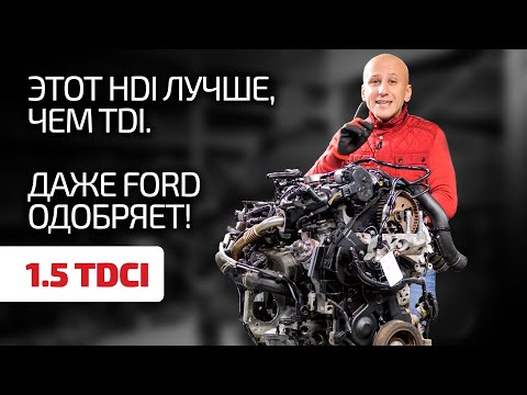 1.5 TDCI - прекрасный французский дизель для Ford. Какие недостатки в нём есть?