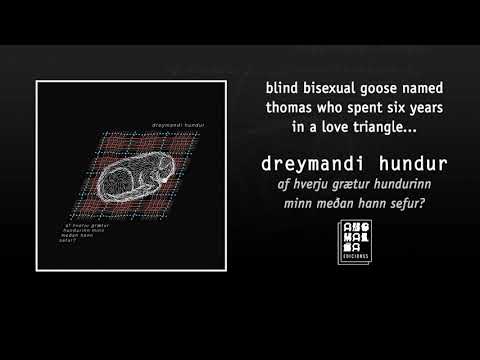 dreymandi hundur - blind bisexual goose named thomas who spent six years in a love triangle...