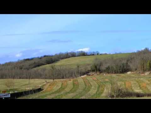 Festival Ecaussysteme Teaser 2015 (3)