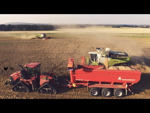 » Dreschen mit gewaltiger POWER ║6x Kettenmähdrescher║Agriculture Germanyy «