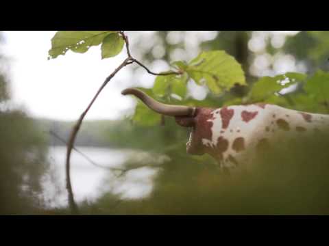 COPY004 - Ali Een - Therun (Video Cut)