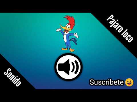 Pajaro loco | Efecto de sonido / Sonido de pajaro loco