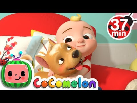 My Dog Song + More Nursery Rhymes & Kids Songs - CoComelon
