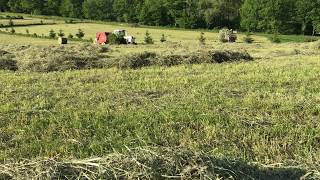 Thorncrest Farm - Making our sweet, sweet hay...