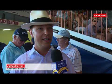 2018 Gold Coast Yearling Sale Day 1 Wrap