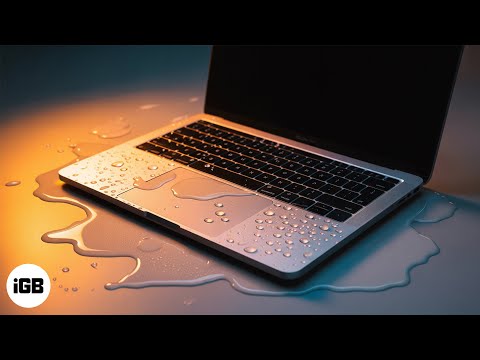 Spilled Water on Your MacBook? Here’s EXACTLY What to Do! 💻💧