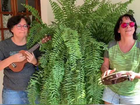 I wanna back to Bahia com Ukulele Pandeiro Passion