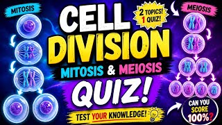Cell Division (Mitosis and Meiosis) Quiz - Best Exam Review for Students /Kids
