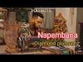 Diamond Platnumz Ft Jay Melody - Napambana ( Official video )